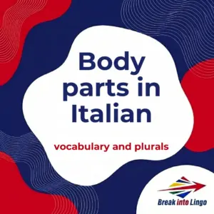 Body Parts in Italian: Vocabulary and Irregular Plurals
