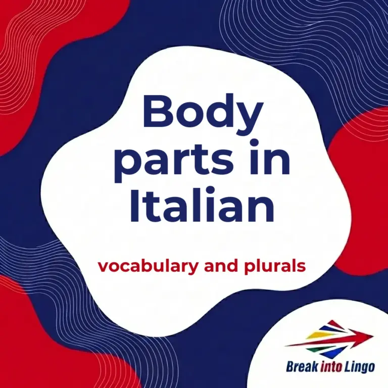 Body Parts in Italian: Vocabulary and Irregular Plurals